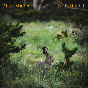 日本私人撸撸影院
